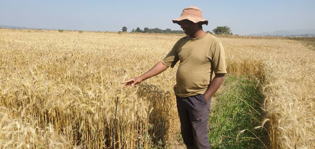 Agricultural Fields MMEG Tanzania